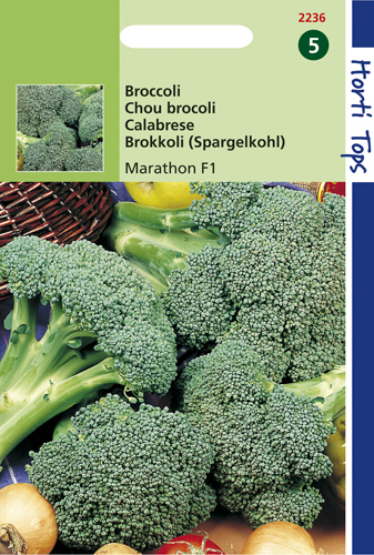 Broccoli Marathon F1 zaden te koop op Moestuinweetjes.com
