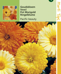 Goudsbloem Pacific Beauty te koop op Moestuinweetjes.com