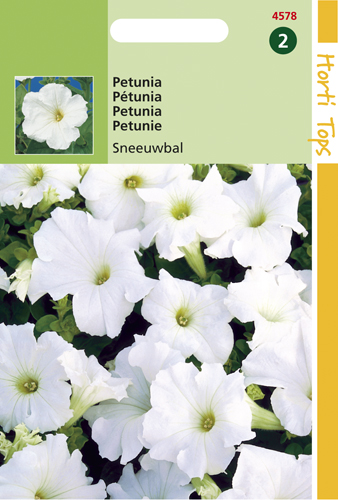 Petunia Sneeuwbal te koop op Moestuinweetjes.com