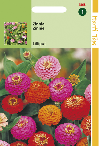 Zinnia Liliput / Pompon te koop op Moestuinweetjes.com
