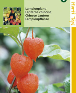 Lampionplant te koop op Moestuinweetjes.com