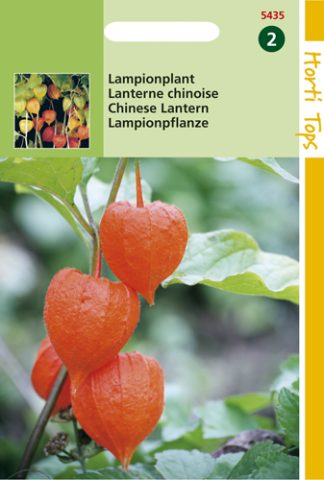 Lampionplant te koop op Moestuinweetjes.com