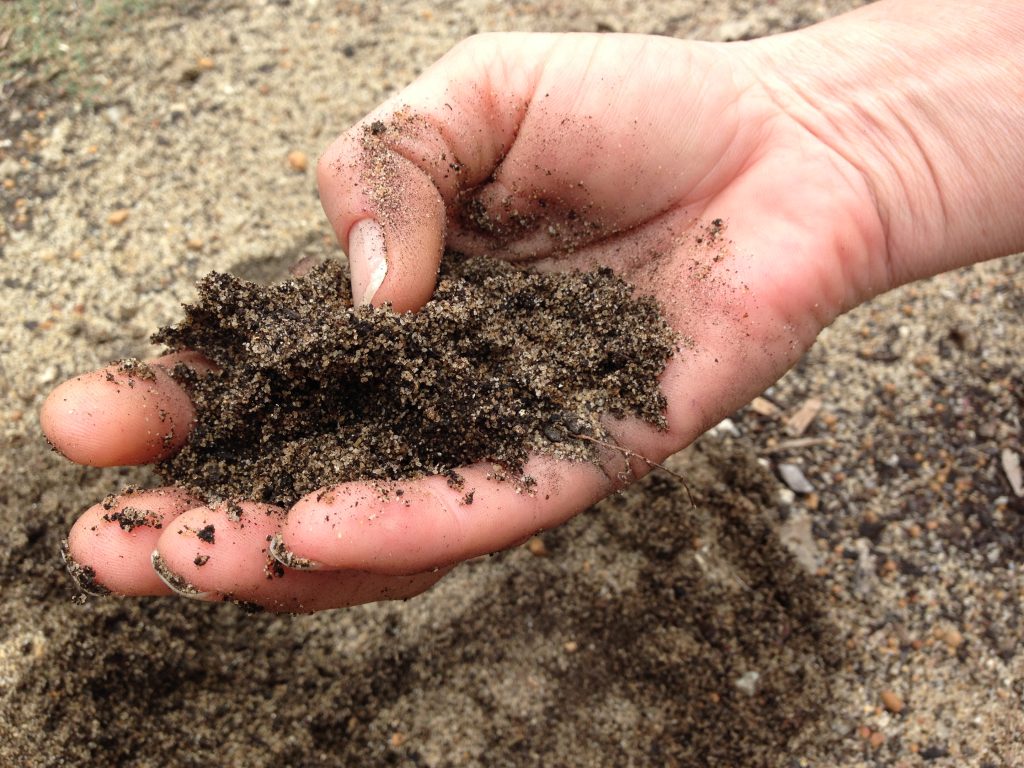 Zanderige moestuin grond met sporen van zwarte humus