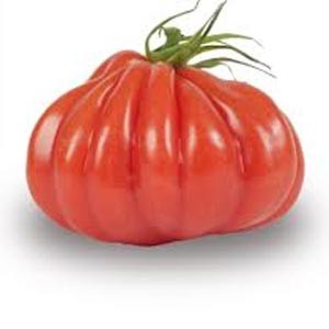 Vlees tomaat Coeur de Boeuf plantjes 1 plant