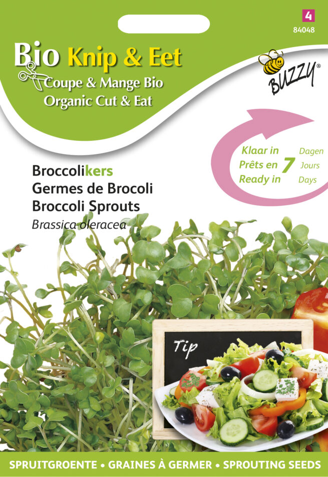 zaad om Broccoli kiemen te kweken