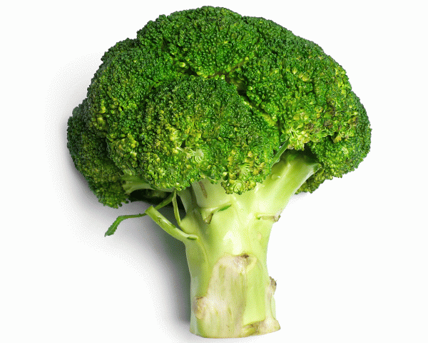 broccoli zaaien