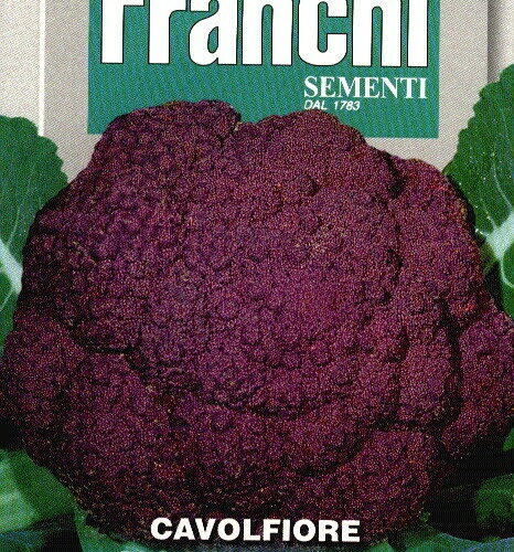 Franchi Bloemkool Violet Cavolfiore Sicilia Violetto