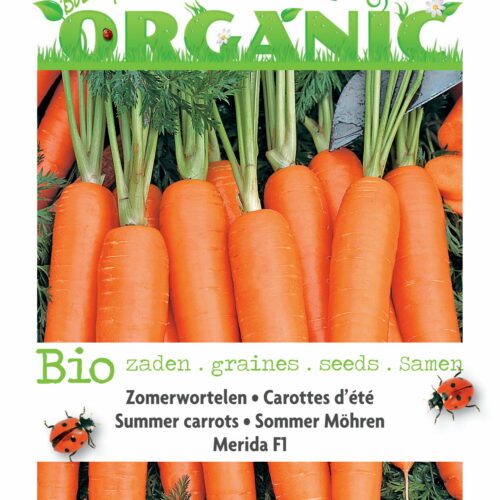 Buzzy Organic Zomerwortel Merida F1 (BIO)