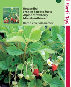 Aardbeien Baron von Solemacher