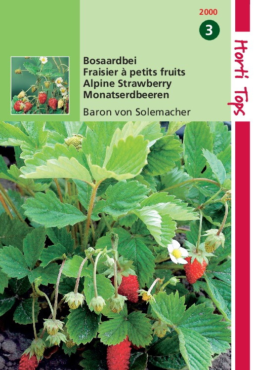Aardbeien Baron von Solemacher