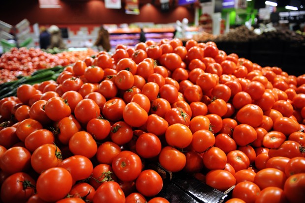Supermarkt tomaten worden groen geplukt en kunstmatig afgerijpt