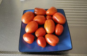 Tomaten in de moestuin