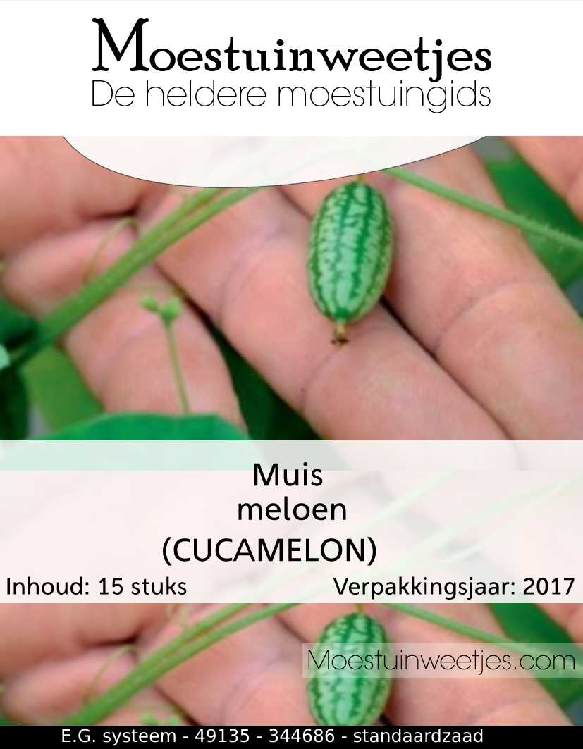 Muismeloen - mini komkommer - cucamelon