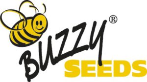 Buzzy seeds