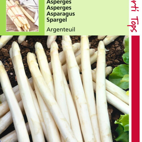 Asperges Argenteuil 3 gram