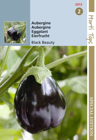 Aubergine zaad Black Beauty