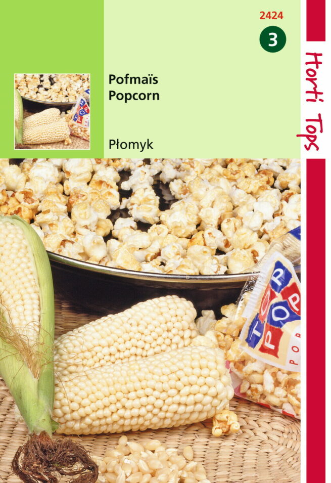 mais zaden voor popcorn