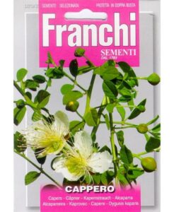 Franchi Cappero - Kappertjes