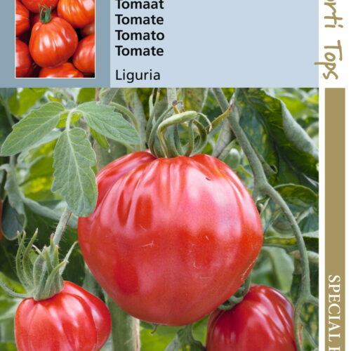 Tomatenzaad Liguria 25 zaden