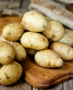 Late aardappelen