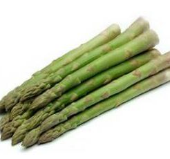 Asperge plant EQUINOX voor teelt groene asperges (kies hoeveelheid)