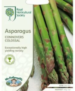 RHS Asperges Connover's Colossal