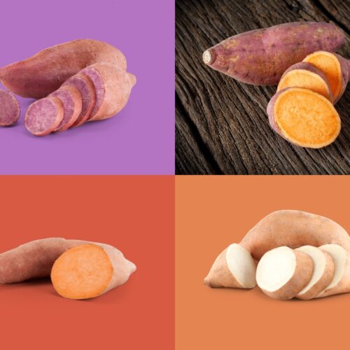 Zoete aardappel plantjes - Mix van 4 rassen en kleuren (25plantjes)